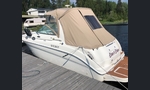 Sea Ray Sundancer 275/260-kuva-5